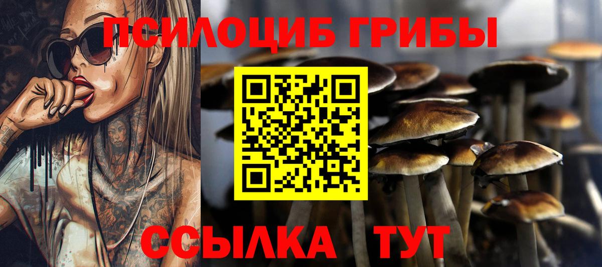 Псилоцибиновые грибы мицелий  Псилоцибиновые грибы MAGIC MUSHROOMS  Кумертау  Вход с VPN 